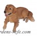 Hi-Line Gift Ltd. Laying Down Golden Retriever Dog Figurine HILN1400